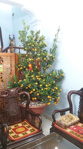 4bdd471c-609a-4156-a6b5-1d726a6c4a5a-1_all_4