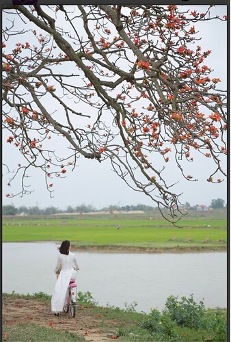 Screenshot_20230316-100748~2