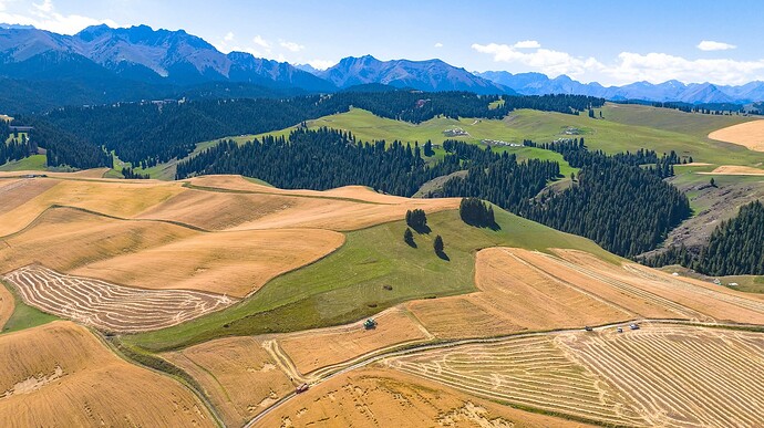 FB_IMG_1759555899941