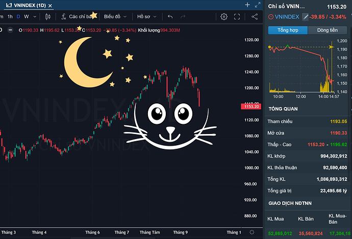 382600854_329612256412611_5769790312274331663_n