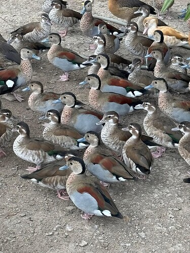 FB_IMG_1739765679153