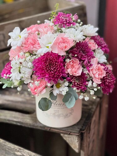 FB_IMG_1769959253712