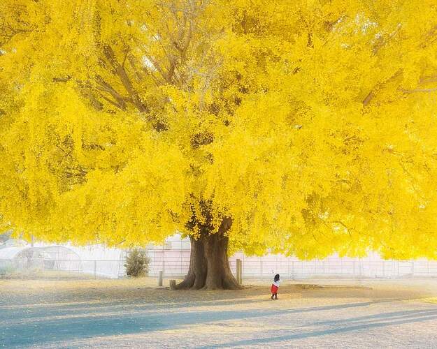 FB_IMG_1732211065784