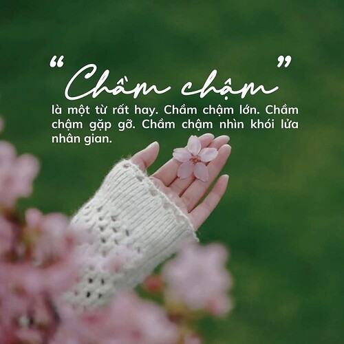 FB_IMG_1742737176666