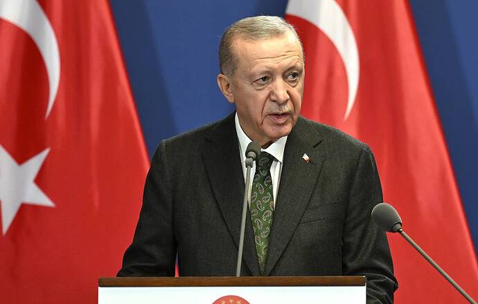 Tổng thống Thổ Nhĩ Kỳ Recep Tayyip Erdogan Ảnh AP/Denes Erdos