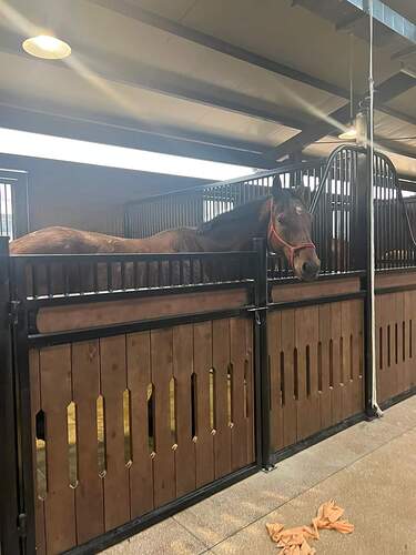 z5245508570698_fd68e721c6f094c41238967de19b30fb