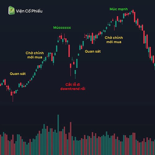 FB_IMG_1733977228433