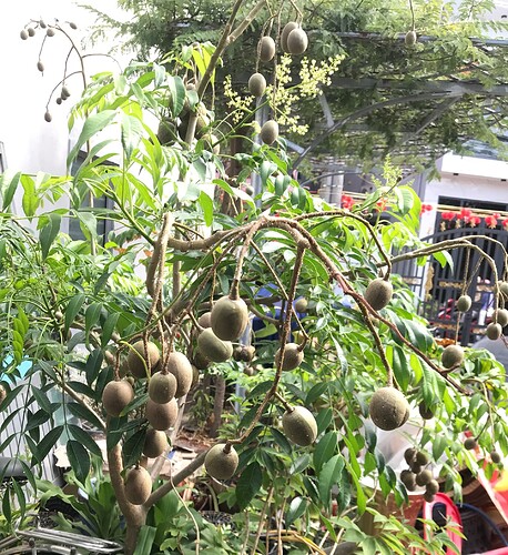 z7638973336301_70f1cbc1d6cb0f77820a4cb54d72bc00