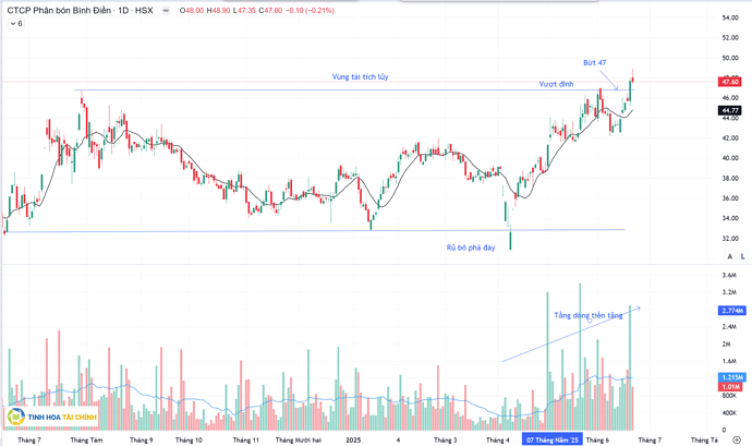 Cổ phiếu BFC 22.06.2025 tinh hoa tài chính