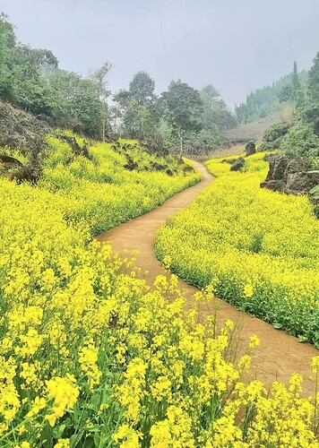 FB_IMG_1740759293369