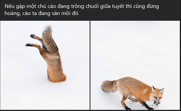 Screenshot 2024-12-13 150620