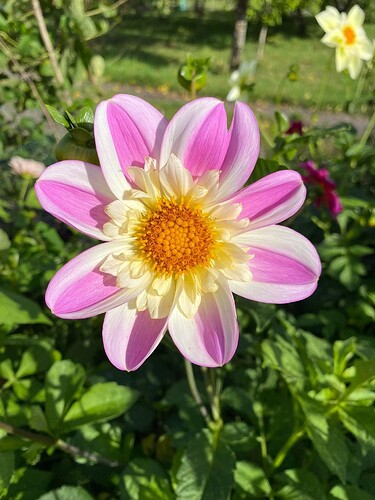 FB_IMG_1755075517623