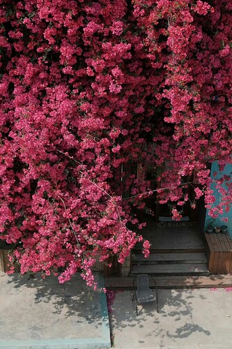 FB_IMG_1741513399312