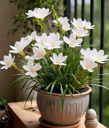 FB_IMG_1727059705431