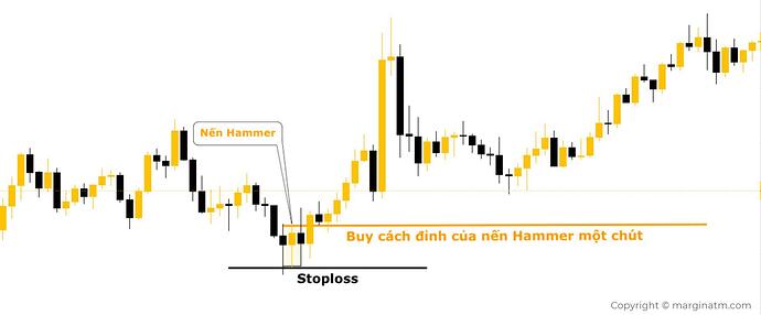 mô hình nến hammer