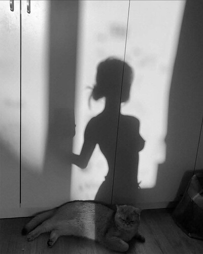 z7236808746330_b1f552c535c1a2164f10716f252c5634