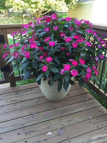 FB_IMG_1754795392537