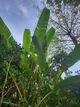 z4436305555103_14376befb295427e6b819fe77aab8afb