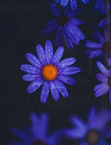 509265137_3498034643666714_7080795931762191092_n