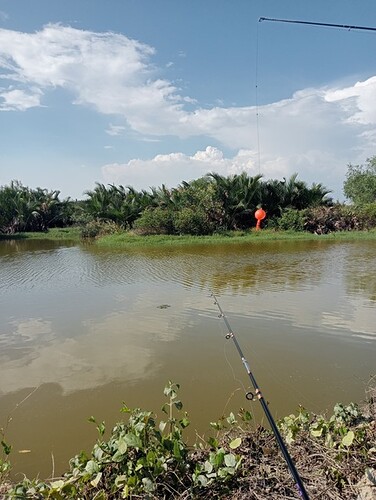 inbound8117989898222358530