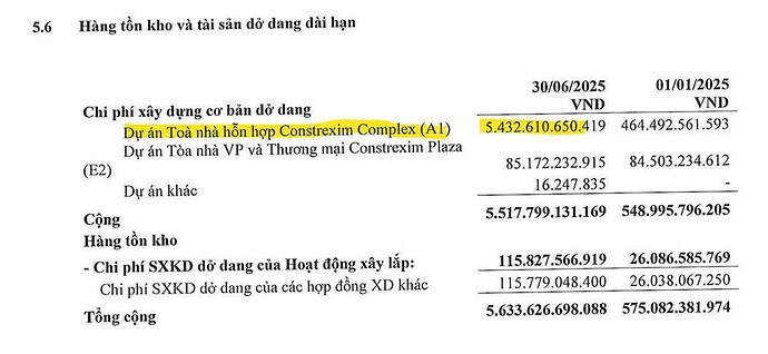 Tài sản dở dang của CTX tinh hoa tài chính