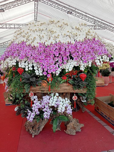 inbound8360036641089395707