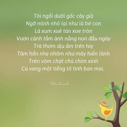 FB_IMG_1732181463739