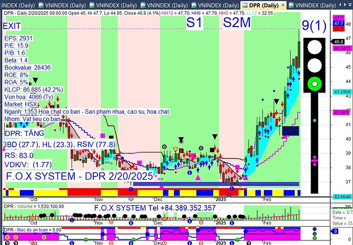 IMG_20250220_123447_951