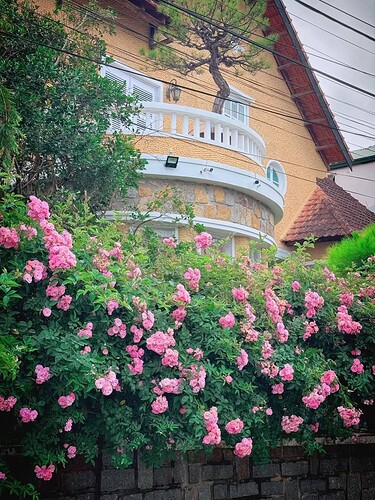 FB_IMG_1739613488007