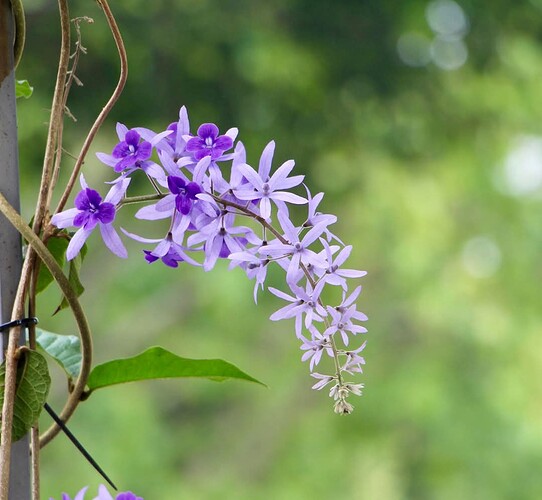 FB_IMG_1740964720060