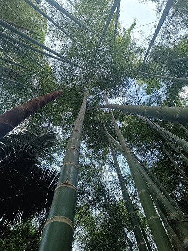 FB_IMG_1759075030390