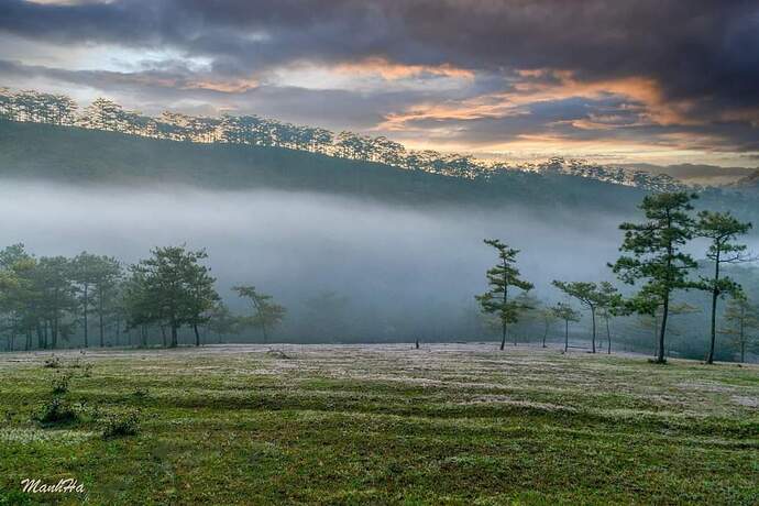 FB_IMG_1731721308935