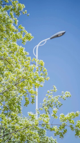 FB_IMG_1743154312533