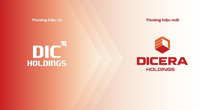 DICERA Holdings: Bước chuyển mình chiến lược từ nhà thầu thành doanh nghiệp đa ngành - 2 DICERA Holdings: Bước chuyển mình chiến lược từ nhà thầu thành doanh nghiệp đa ngành - 2