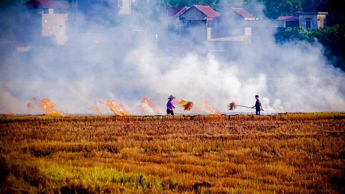 FB_IMG_1731309019930