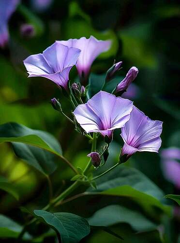 FB_IMG_1722840769228