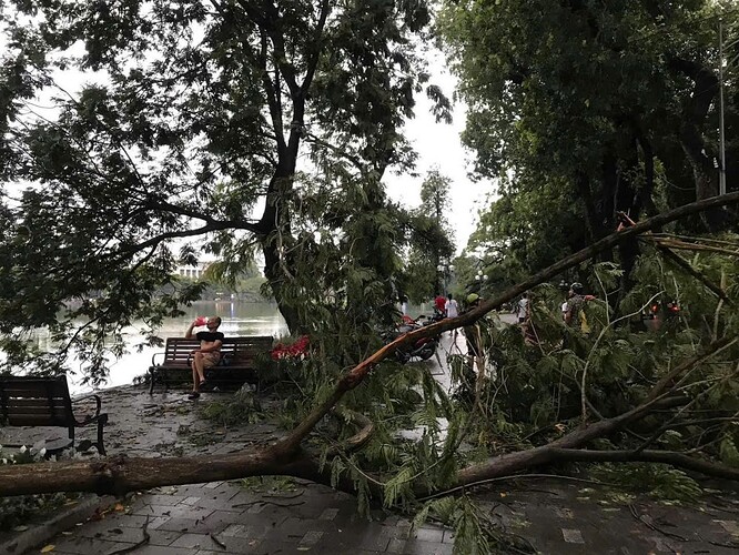 e5da7076e68a41d4189b