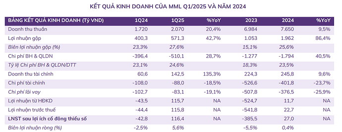 Ảnh chụp màn hình 2025-06-30 175617