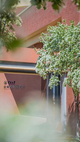 FB_IMG_1743154306113