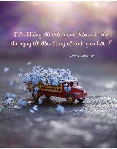 FB_IMG_1691811306297