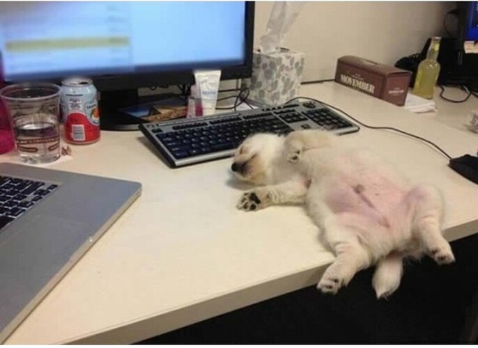 Screenshot_2023-03-17-12-17-04-847-edit_com.android.chrome