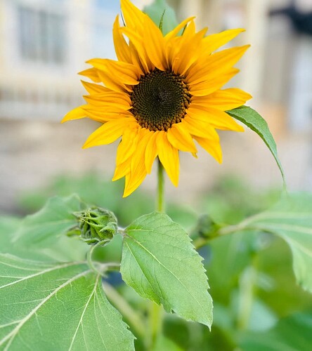 FB_IMG_1752125912828