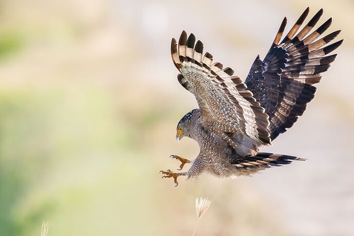 cuoc-thi-nhiep-anh-hay-nhat-2026-anthology-1