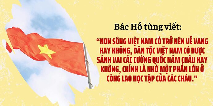 Banner-Ngay-Quoc-khanh-Viet-Nam-Do-Vang-Hoai-co-1-1536x768
