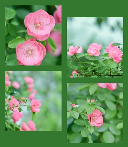 Screenshot_20250513-231346_Facebook