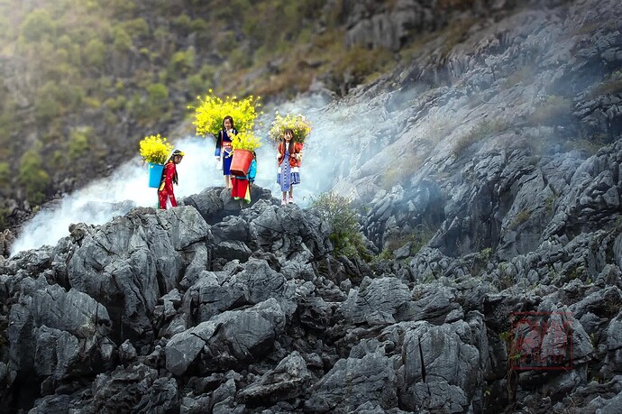 35fe7176-449e-4dff-9a94-62471d8f6163-1_all_18680