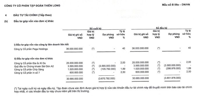thuyết minh đầu tư ngắn hạn TLG