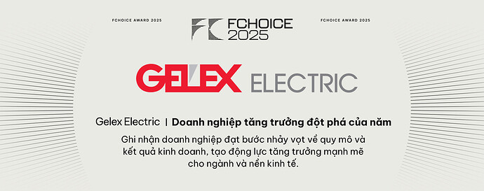 Hiện tượng Gelex Electric: Khi tăng trưởng đột phá gọi tên một doanh nghiệp sản xuất - Ảnh 1.