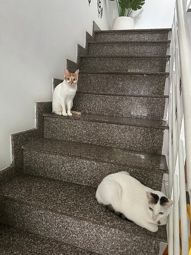 FB_IMG_1762530561133