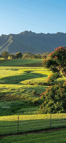 FB_IMG_1752114599277